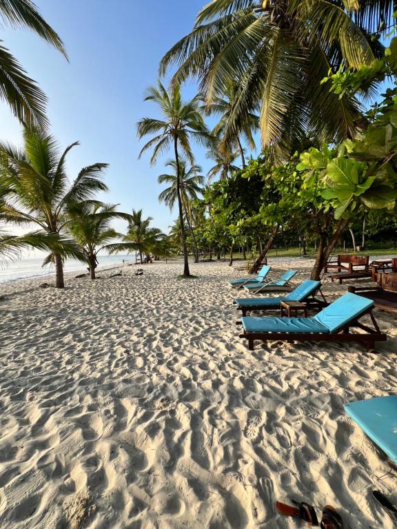 Beach Tours